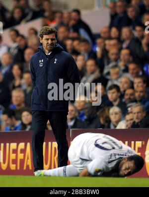 Andre Villas-Boas, manager di Tottenham Hotspur, si vede ferito Mousa Dembele Foto Stock