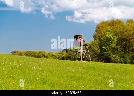 Sul sentiero escursionistico Eifelsteig in Eifel, Germania Foto Stock