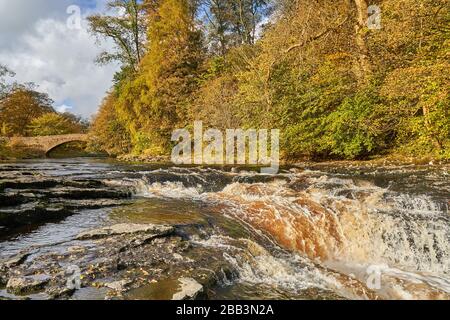 Stainforth Force, vicino Stainforth, Ribblesdale, Yorkshire Dales, Inghilterra Foto Stock