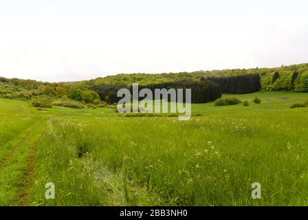 Sul sentiero escursionistico Eifelsteig in Eifel, Germania Foto Stock