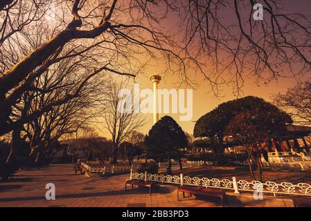 Busan torre con silhouette grande albero al tramonto a Busan, Corea del Sud. Foto Stock