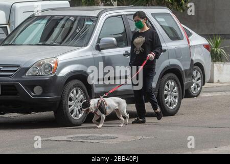 Beirut, Libano. 30 marzo 2020. Una donna pedone che indossa una maschera chirurgica protettiva che cammina il suo cane per strada durante il blocco che è stato esteso fino al 12 aprile 2020 per arginare la diffusione di covid-19 coronavirus. Credit: amer ghazzal/Alamy Live News Foto Stock