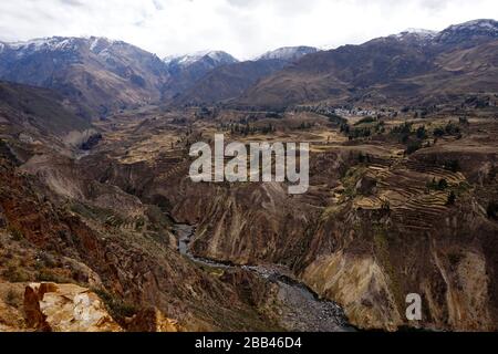 Escursione nel canyon di Colca vicino ad Arequipa, Perù Foto Stock