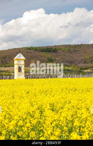 Gli dèi la tortura nei pressi di Retz, Austria Foto Stock