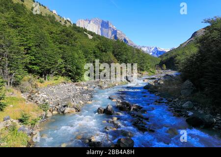 Valle del fiume Rio Ascenscio, Parco Nazionale Torres de Paine, Regione Magallanes, Patagonia, Cile, Sud America Foto Stock