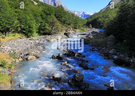 Valle del fiume Rio Ascenscio, Parco Nazionale Torres de Paine, Regione Magallanes, Patagonia, Cile, Sud America Foto Stock