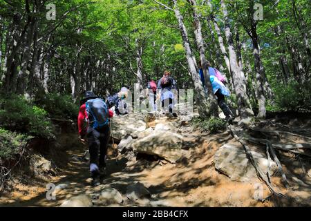 Camminatori lungo la valle del Rio Ascendente, Parco Nazionale Torres de Paine, Regione Magallanes, Patagonia, Cile, Sud America Foto Stock