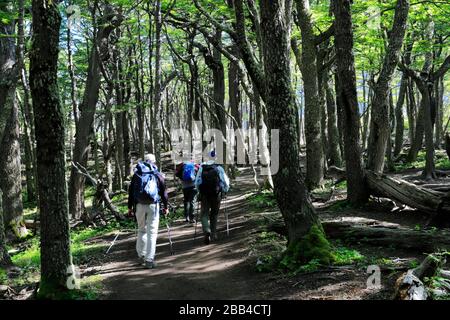 Camminatori lungo la valle del Rio Ascendente, Parco Nazionale Torres de Paine, Regione Magallanes, Patagonia, Cile, Sud America Foto Stock