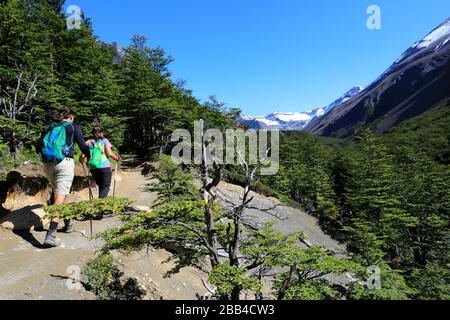 Camminatori lungo la valle del Rio Ascendente, Parco Nazionale Torres de Paine, Regione Magallanes, Patagonia, Cile, Sud America Foto Stock