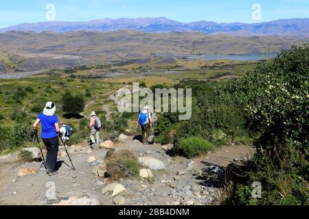 Camminatori lungo la valle del Rio Ascendente, Parco Nazionale Torres de Paine, Regione Magallanes, Patagonia, Cile, Sud America Foto Stock