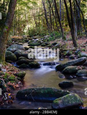 Il dolce ruscello si riverra sulle rocce nel Great Smoky Mountains National Park Foto Stock