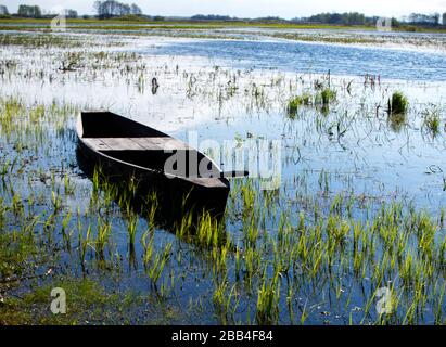 Biebrza Parco Nazionale Polonia sorgente backwaters del fiume Biebrza Foto Stock