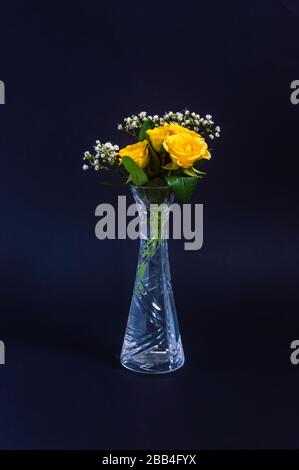 Rose gialle con boccioli piccoli e fiori bianchi di zypophila in vaso di cristallo su sfondo nero o blu scuro. Composizione floreale verticale elegante come a. Foto Stock