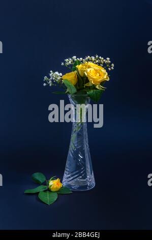 Rose gialle e fiori bianchi di zypophila in un vaso di cristallo su sfondo nero o blu scuro. Piccolo bocciolo di rosa nelle vicinanze. Verticale elegante composizione floreale Foto Stock