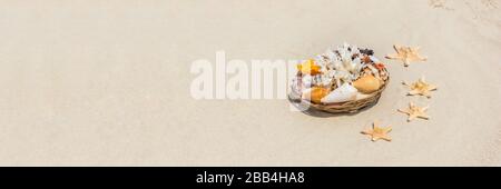 Banner con conchiglie, coralli e stelle marine sulla spiaggia di sabbia dorata vicino al mare in una giornata di sole. Vacanza estiva e concetto di relax. Spazio di copia per te Foto Stock