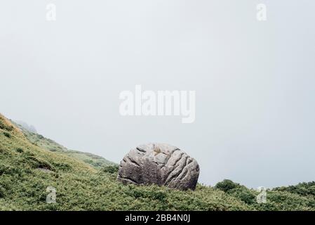 Grande masso su una montagna a Yakushima, Giappone Foto Stock