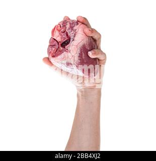 Cuore umano in mano isolato su sfondo bianco. Con tracciato di ritaglio Foto Stock