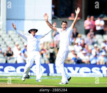 James Anderson dell'Inghilterra fa appello per un wicket Foto Stock