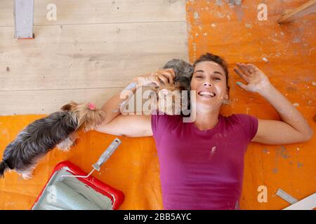 Donna in sociale pittura distanziante le pareti della sua casa con i suoi cani Foto Stock