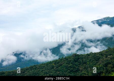 Alte montagne con alberi densi. È una montagna fertile vedere il livello di nuvole bianche e il cielo come sfondo Foto Stock