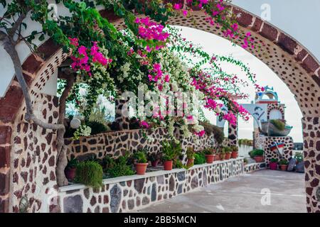 Architettura tradizionale nel villaggio di Akrotiri sull'isola di Santorini, Grecia. Cafe con fiori di bougainvillea. Cultura greca Foto Stock