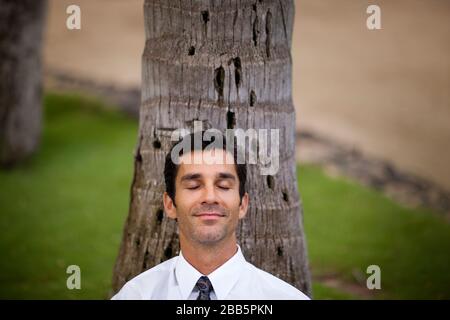 L'uomo d'affari medio-adulto si rilassa appoggiandosi sul tronco dell'albero con gli occhi chiusi. Foto Stock