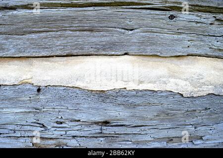 Colpo di primo piano orizzontale di legno vecchio che siding con chinking. Foto Stock