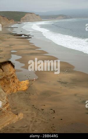 I draghetti Beach, Point Reyes National Seashore, California Foto Stock