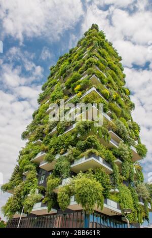 milano italia 29 giugno 2019:case con giardino sulla terrazza Foto Stock