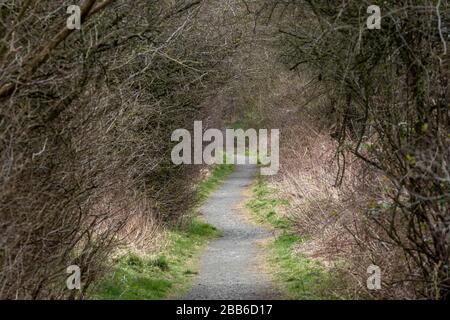 Percorso di campagna lungo una linea ferroviaria disutilizzata vicino East Calder, West Lothian, Scozia. Foto Stock