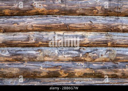 Sfondo in legno. Vecchio muro di legno di una casa rustica con texture. Foto Stock