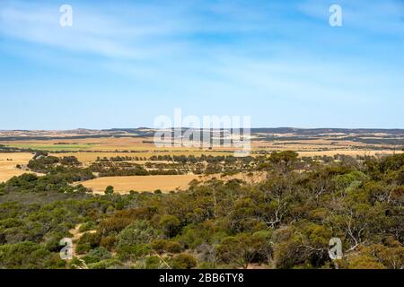Paesaggio rurale, regione del Medio Ovest, Australia Occidentale, Australia Foto Stock