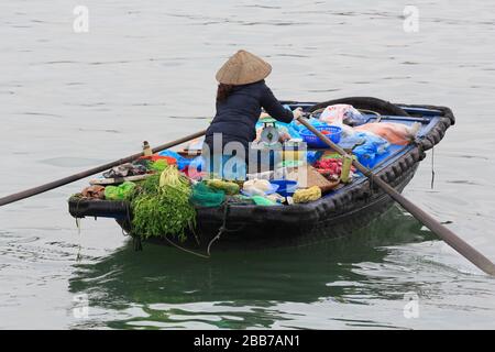 Negozio galleggiante a Halong Bay, Vietnam, Asia Foto Stock