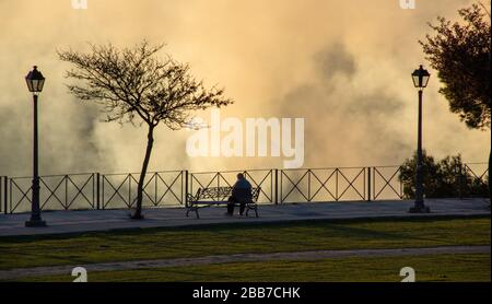 Uomo solitario e attento seduto su una panchina sul lungomare con alberi e lampade da strada al tramonto con una luce speciale dal fumo che surrogano Foto Stock