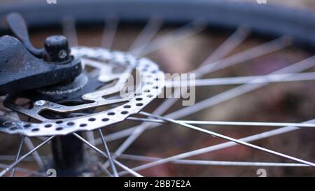 mountain bike ruote vicino. rugiada gocce, giro in bicicletta, passeggiata sportiva. Foto Stock