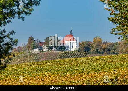 Paesaggio in bassa Franconia, colorati vigneti con foglie colorate in autunno colori con il castello Vogelsburg con cielo blu e sole vicino a. Foto Stock