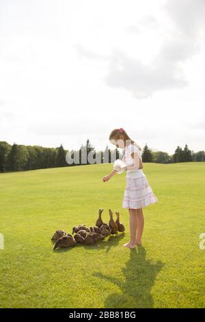 Ragazza o adolescente femminile che alimenta anatre marroni piccole. Stand nel parco in mezzo al prato verde. Da solo prendersi cura di anatre. Bella giornata di sole fuori Foto Stock