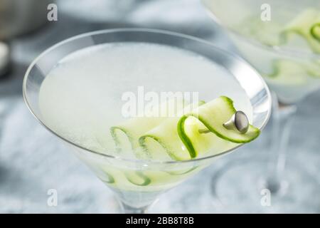 Cocktail di martini con vodka fatto in casa e sake giapponese Foto Stock