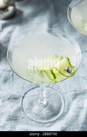 Cocktail di martini con vodka fatto in casa e sake giapponese Foto Stock