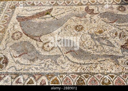 Mosaico del pavimento dei delfini, rovine romane, Milreu, Algarve, Portogallo Foto Stock