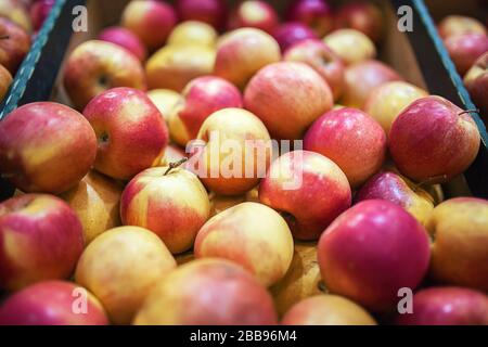 Bellissimo sfondo di frutta con mele rosse in una scatola di cartone Foto Stock