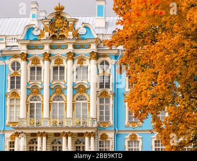 Catherine Palace Grand barocco rococò facciata con alberi d'autunno, Tsarars Village, Tsarskoe Selo, Pushkin, Federazione russa Foto Stock