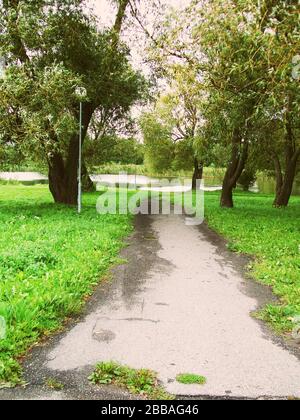 Trinyciai Park Path e Pond nel mese di settembre Foto Stock