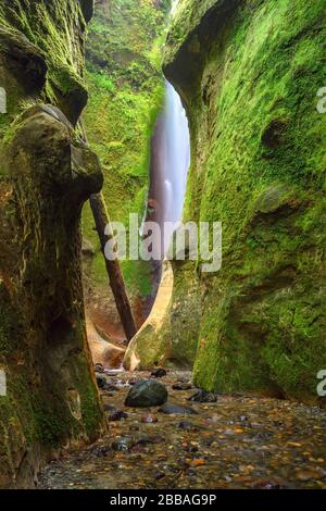 Spiaggia Sombrio Canyon, Juan de Fuca Trail, vicino a Port Renfrew, Isola di Vancouver, BC Canada Foto Stock