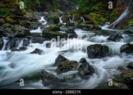 Rosewall Creek Provincial Park, Courtenay, Vancouver Island, BC, Canada (Rosewall Falls) Foto Stock