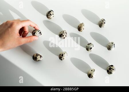 Donna mano prendere un uovo di quaglia da mucchio di altri su sfondo bianco. Scelta giusta. Concetto di pasqua insolito. Foto Stock