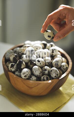 Mano della donna prenda un uovo di quaglia dalla ciotola con mucchio altro. Sfondo scuro, bella luce solare naturale in cucina. Concetto di cucina pasquale. Foto Stock