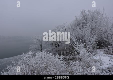 Paesaggio invernale sul Danubio. Ghiaccio e iceberg lungo la costa. Foto Stock