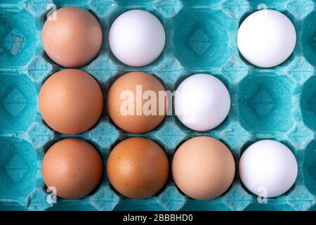 Semi colorato cartone di uova di teal riempito con uova di pollo ombreggiate di marrone e metà con quelle bianche e fessure vuote nell'illuminazione dello studio superiore in basso Foto Stock