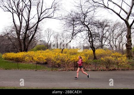 New York City, New York, Stati Uniti. 30th Mar, 2020. Una donna gode di una corsa nel Central Park di New York lunedì, marzo 30th. Oggi c'era un accenno di primavera in aria e le persone hanno cercato di sfruttare al meglio il parco centrale anche mentre nelle vicinanze del parco si stava costruendo un ospedale di emergenza in risposta alla pandemia del virus corona. Credito: Adam Stoltman/Alamy Live News Foto Stock